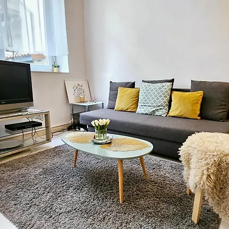 Apartment Le Canut Duviard - Proche Metro Croix-rousse *