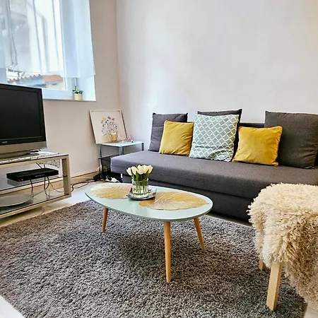 Apartment Le Canut Duviard - Proche Metro Croix-rousse *