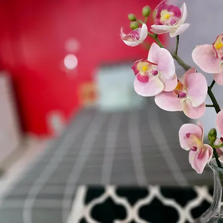 Apartamento Le Canut Duviard - Proche Métro Croix-rousse Lyon