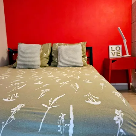 Apartment Le Canut Duviard - Proche Metro Croix-rousse Lyon